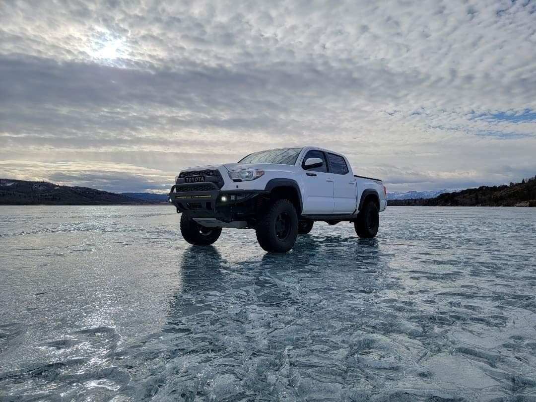 A row of show cars on display at an outdoor event