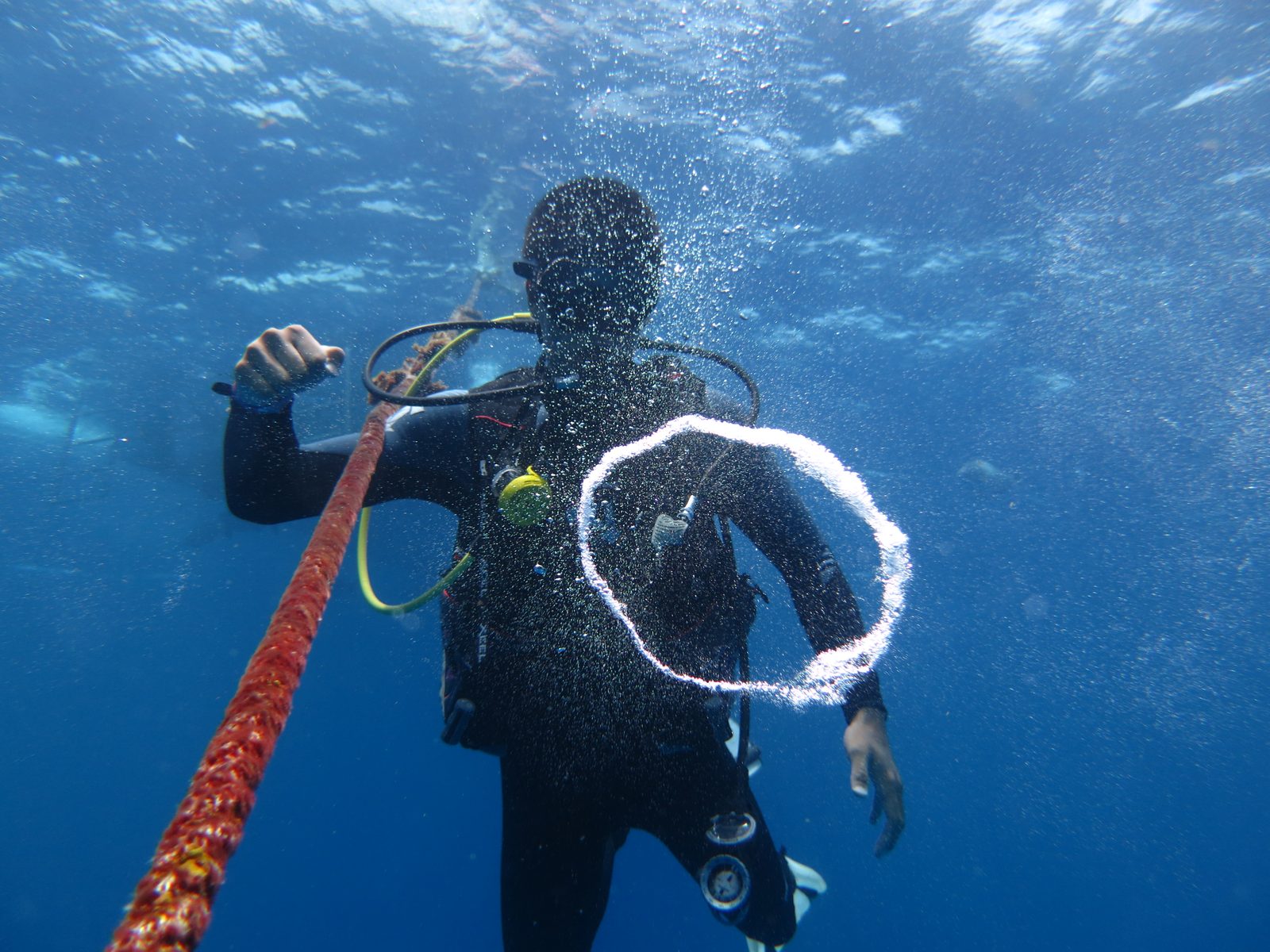A diver releasing a bubble ring near a descent line